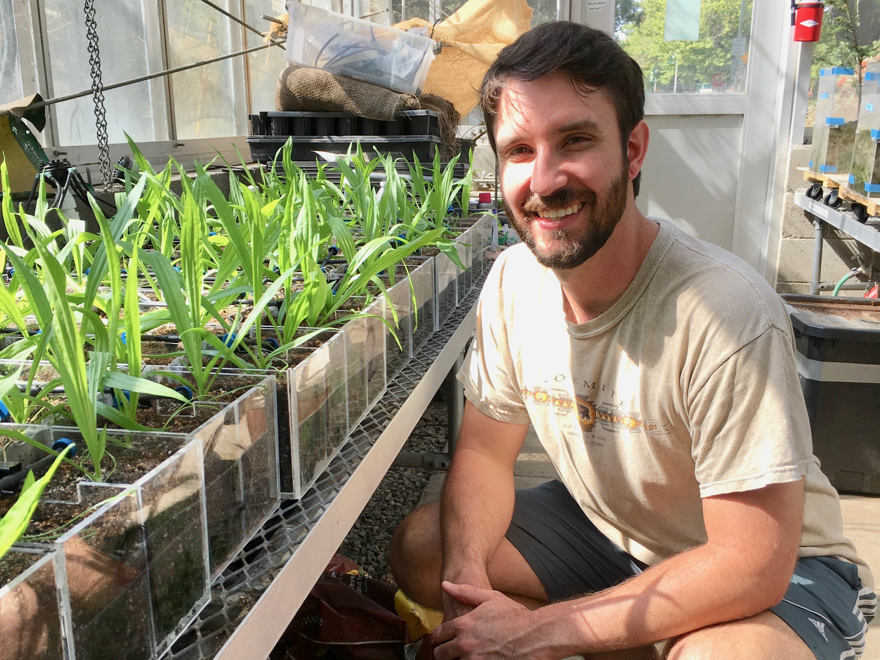 Graduate student Dan Lenz studies how belowground fungi help plants defend against herbivores