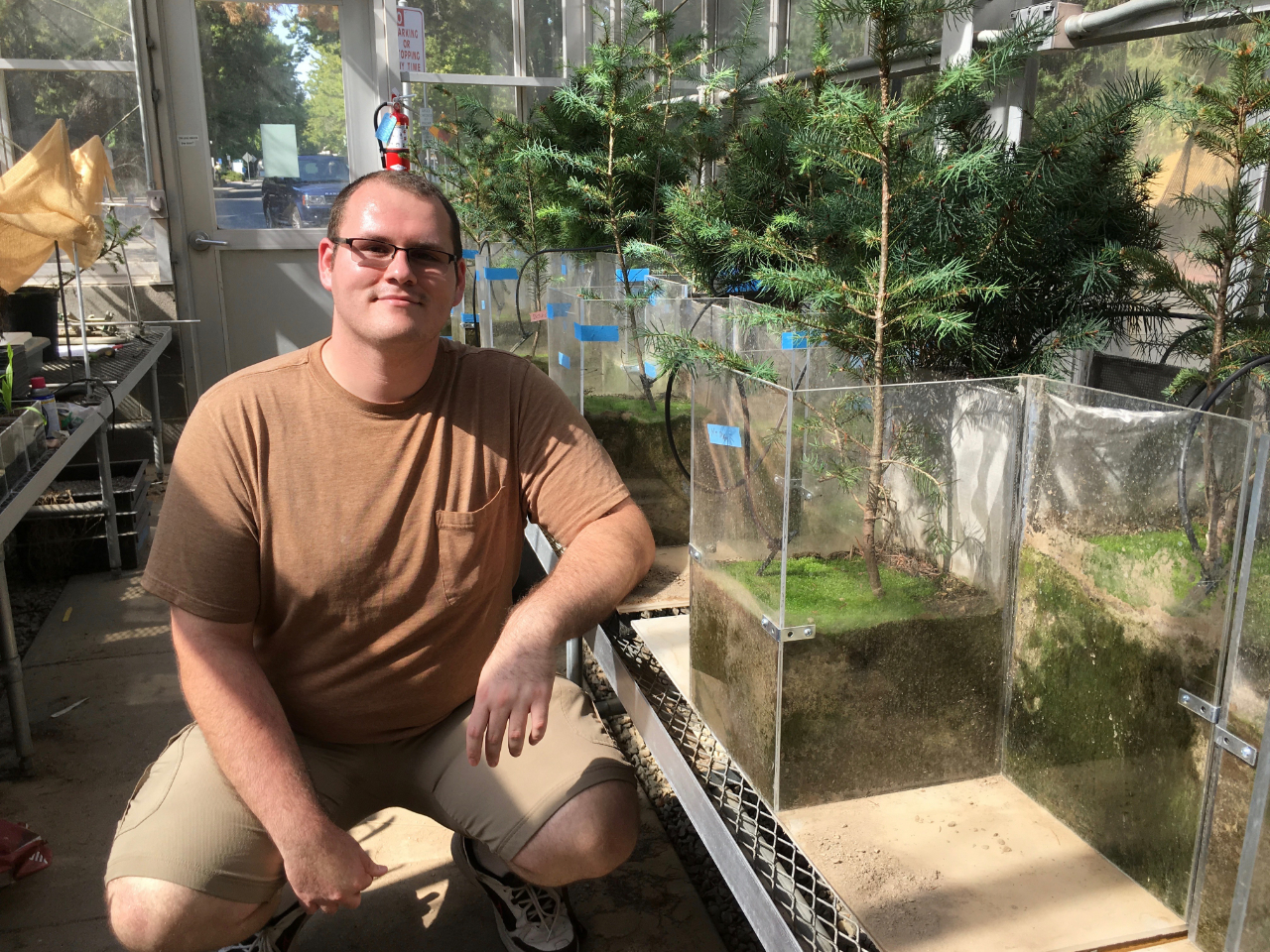 Graduate student Ian Mounts examines whether mycorrhizal networks can ameliorate plant drought stress